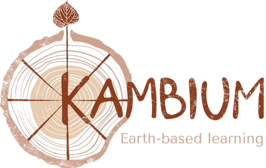 kambium earth based learning logo kambium rings and tilia leaf